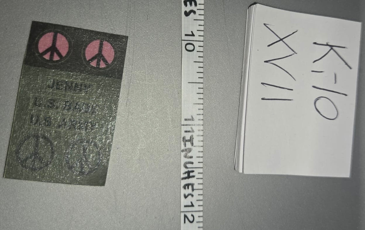 1/6 Scale Vietnam US Patches - Female Playboy