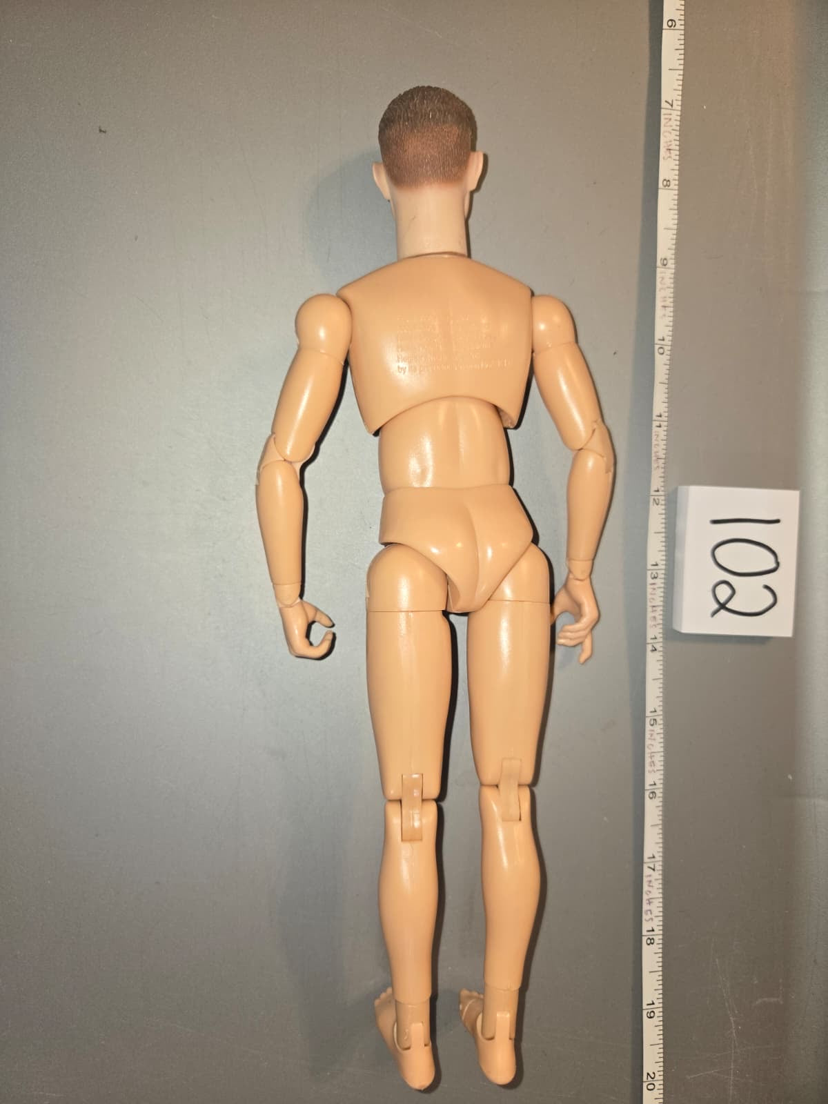 1/6 Scale Nude Dragon Figure