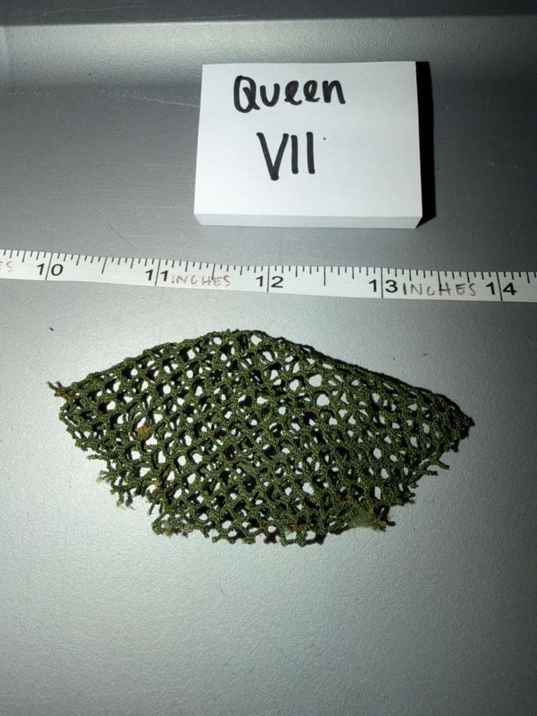 1/6 Scale Modern Helmet Netting