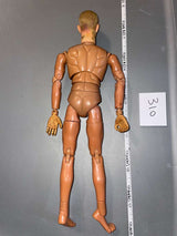 1/6 Scale Nude DID Figure