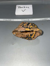 1:6 WWII German Camouflage helmet cover