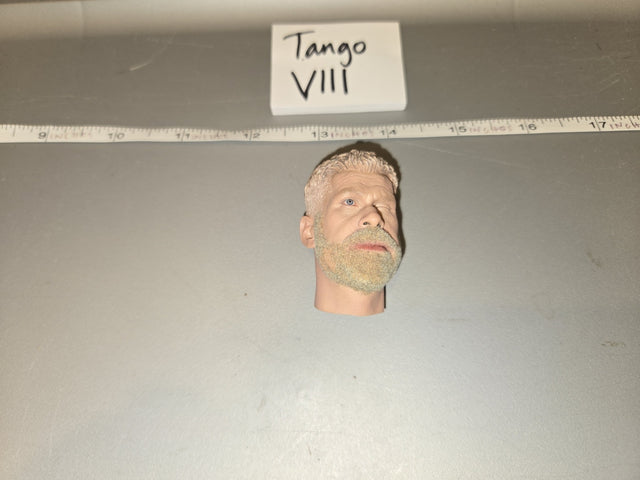 1/6 Scale Modern Era Male Head Sculpt - Tango VIII
