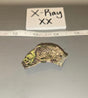 1/6 Scale Modern Era Multicam High Cut Helmet Cover - X-Ray XX