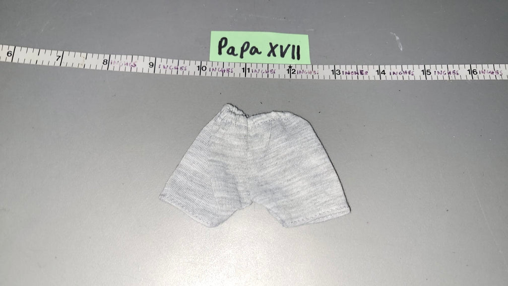 1/6 Scale Modern Era Gym Shorts - Civilian