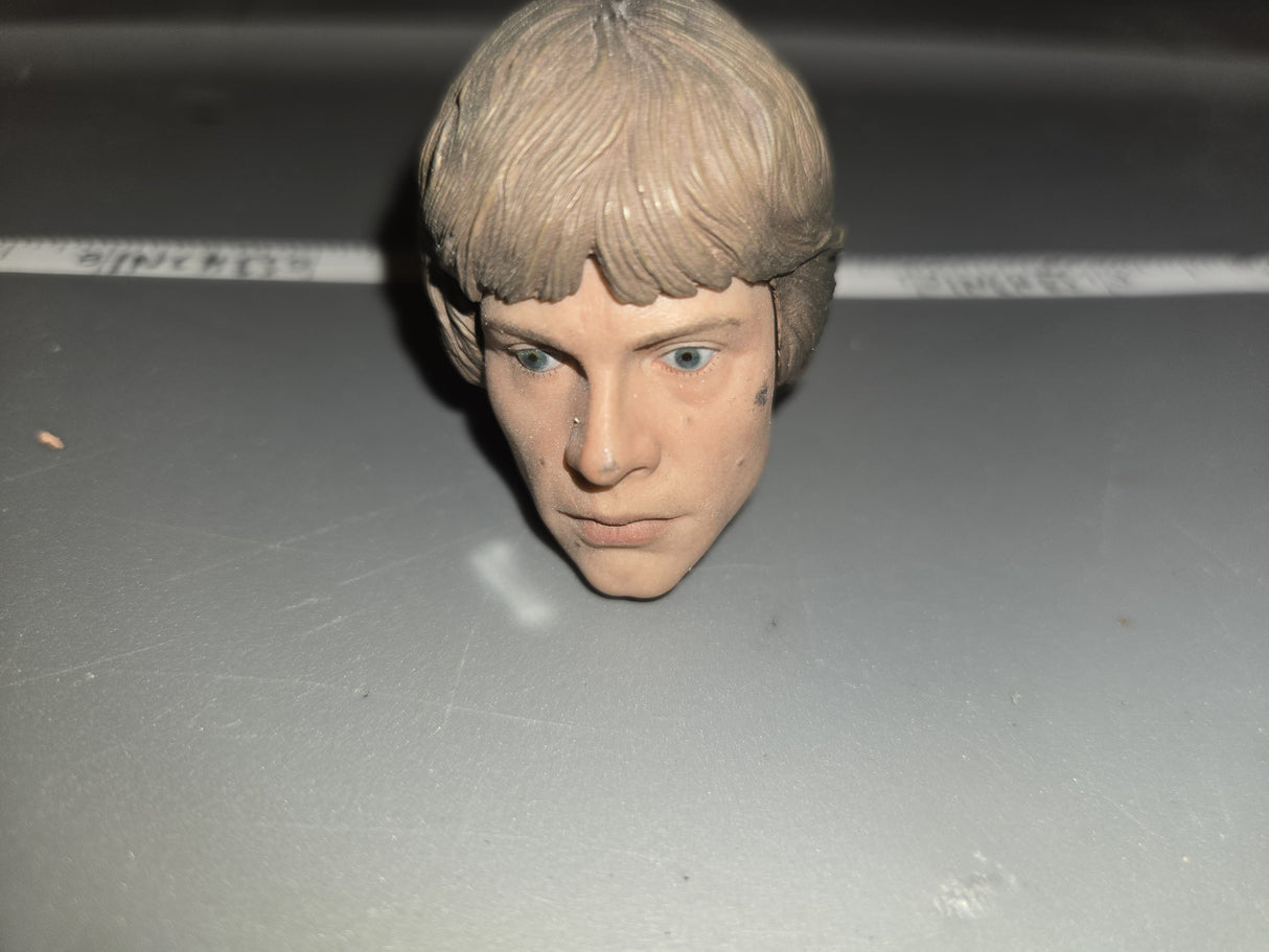 1/6 Scale Star Wars Luke Skywalker Headsculpt