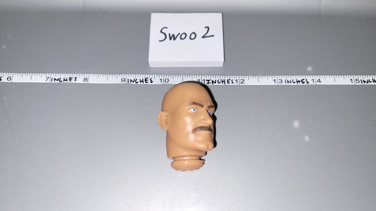 1/6 Scale Head Sculpt - SOTW Vietnam Jesse Ventura