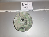 1:6 Modern Woodland Boonie Hat