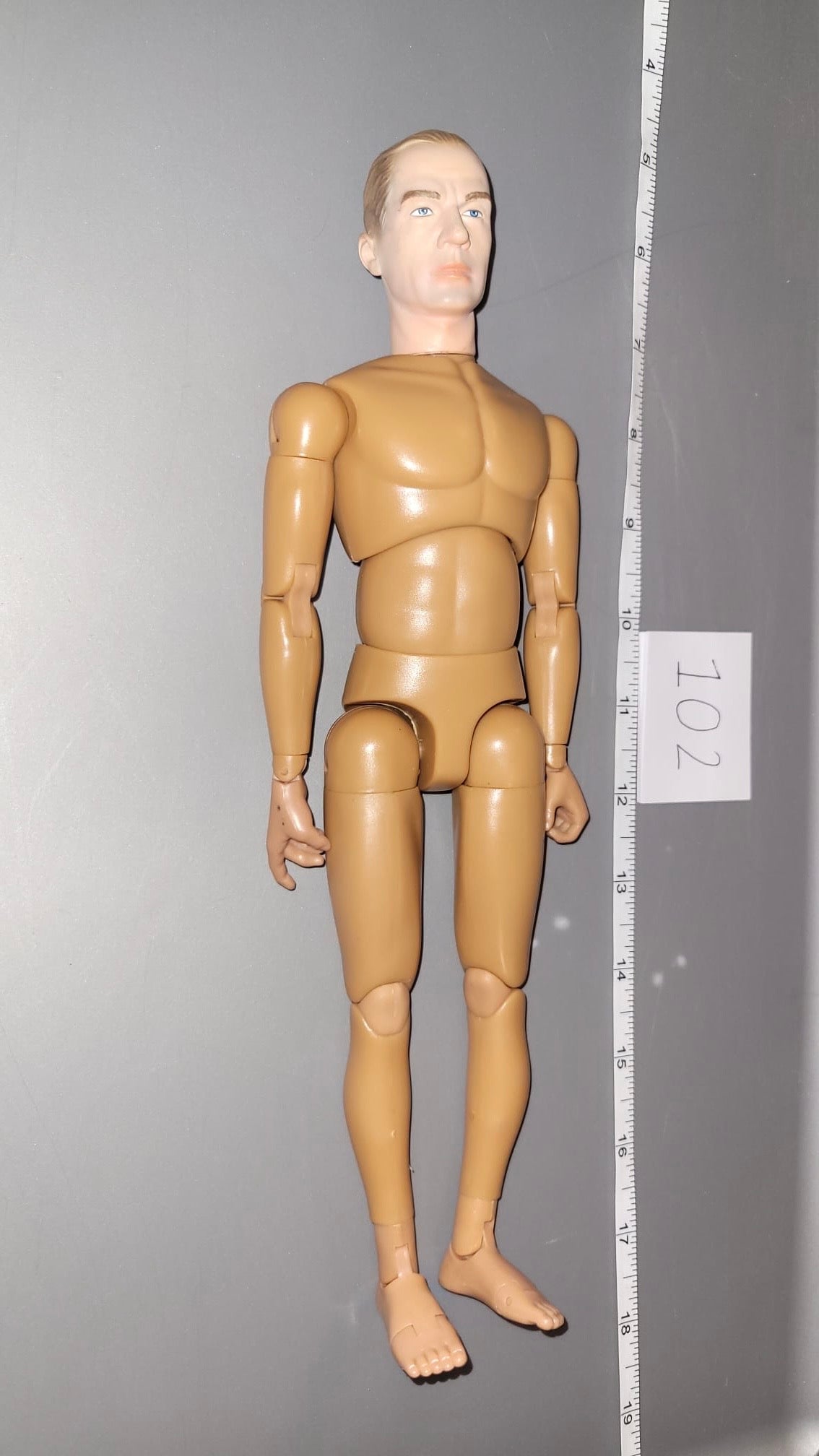1/6 Scale Nude Dragon Figure