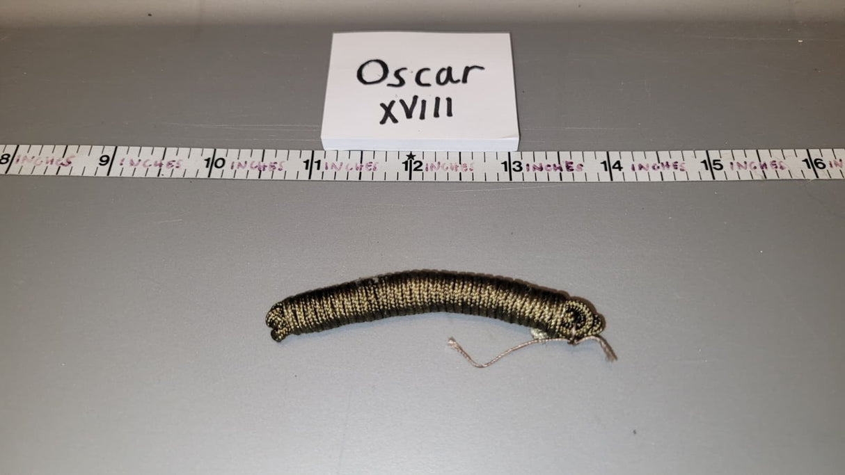 1/6 Scale Vietnam Era Rope Coil