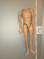 1/6 Scale Nude Basic Figure Body - 312