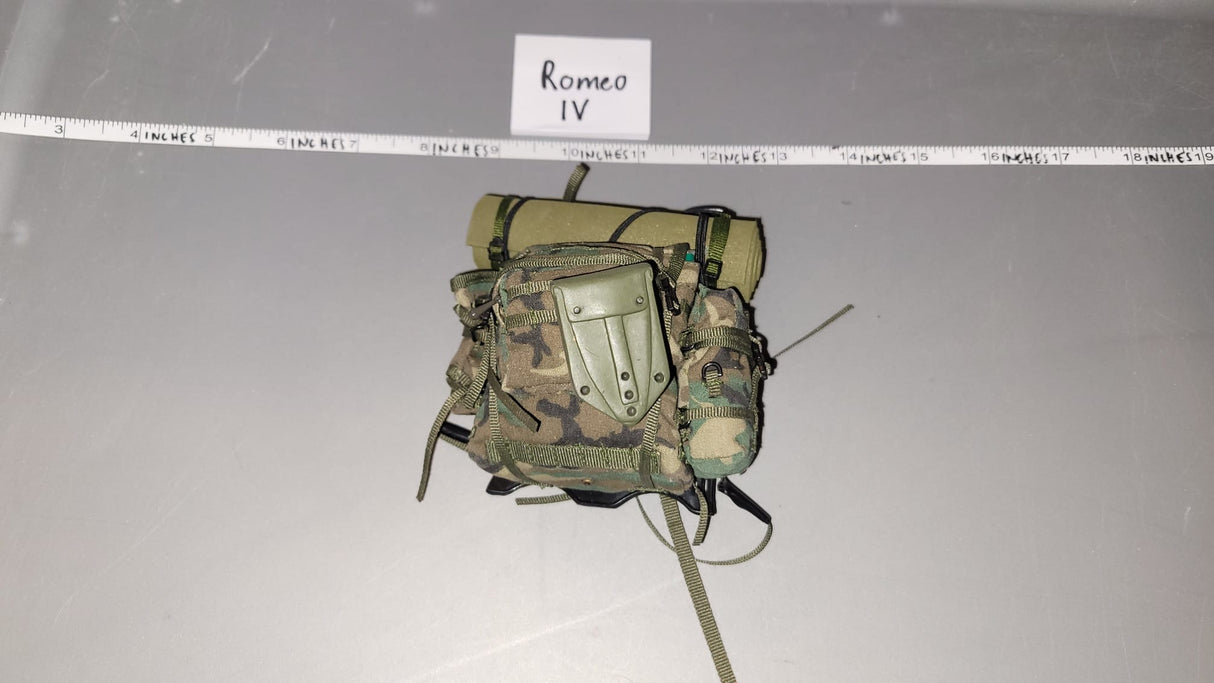 1/6 Scale Modern Era Backpack -