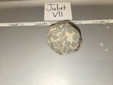 1/6 Scale WWII US Helmet -  Marine