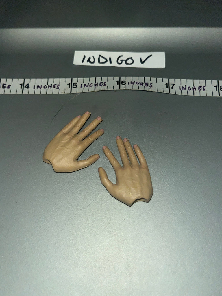 1/6 Scale WWII German DID Hand Set 106219