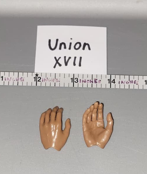 1/6 Scale Open Hand Set