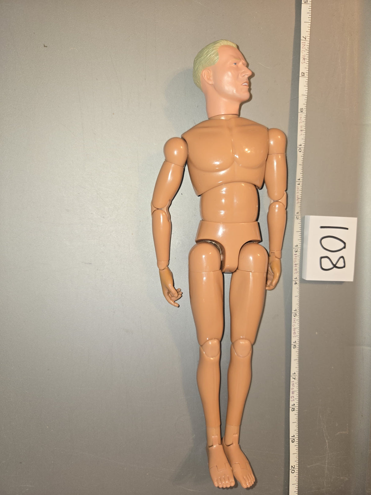 1/6 Scale Nude Dragon Figure