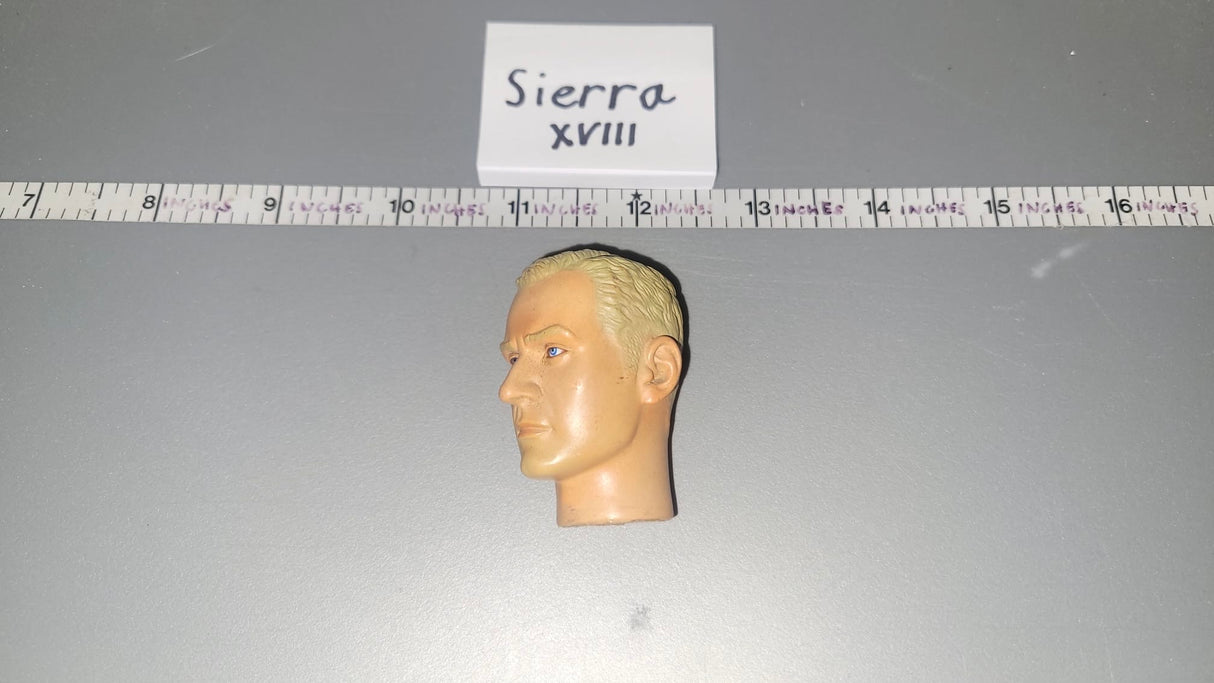 1/6 Scale Dragon Head Sculpt