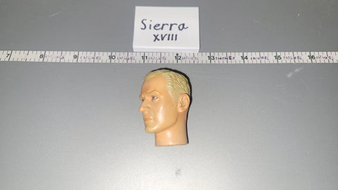 1/6 Scale Dragon Head Sculpt