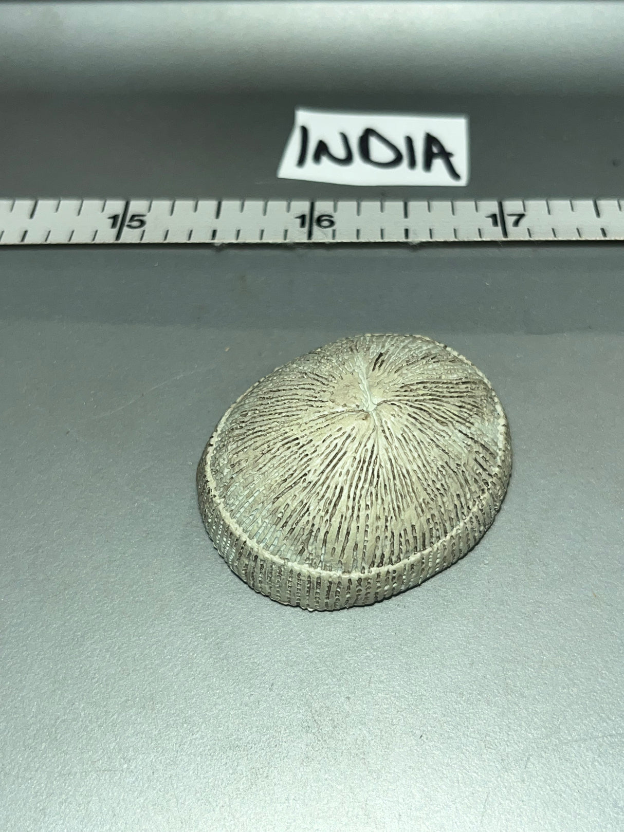 1/6 Scale Modern Era Beanie