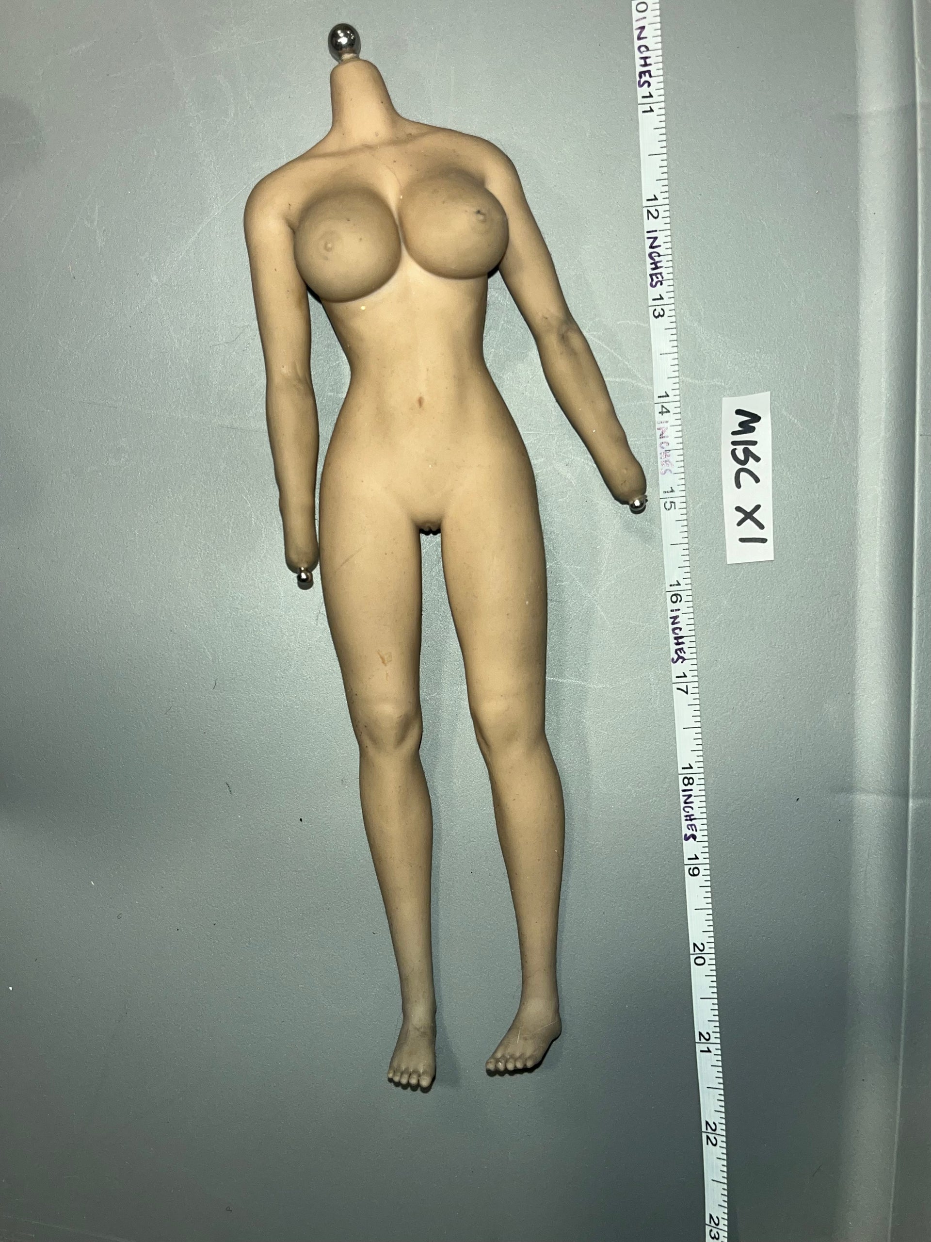 1/6 Scale Nude Phicen Female Seamless Figure