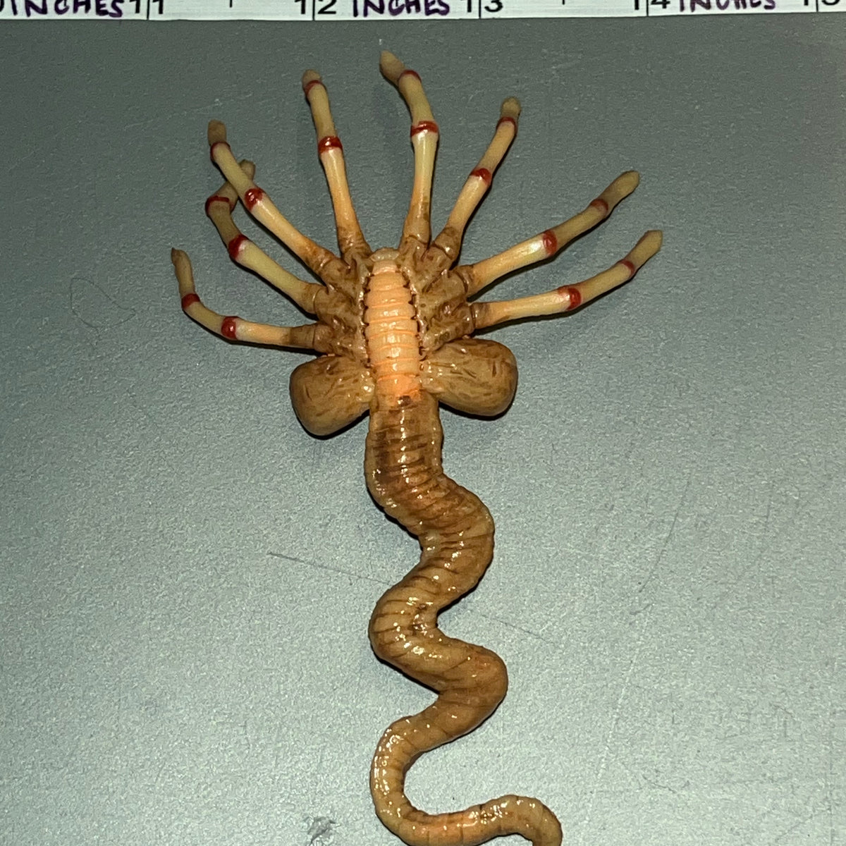 1:6 Scale Science Fiction Alien Ripley Face Hugger - Present Toys Flig ...