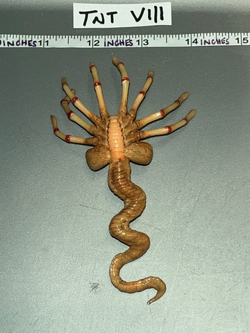 1:6 Scale Science Fiction Alien Ripley Face Hugger - Present Toys Flight Officer