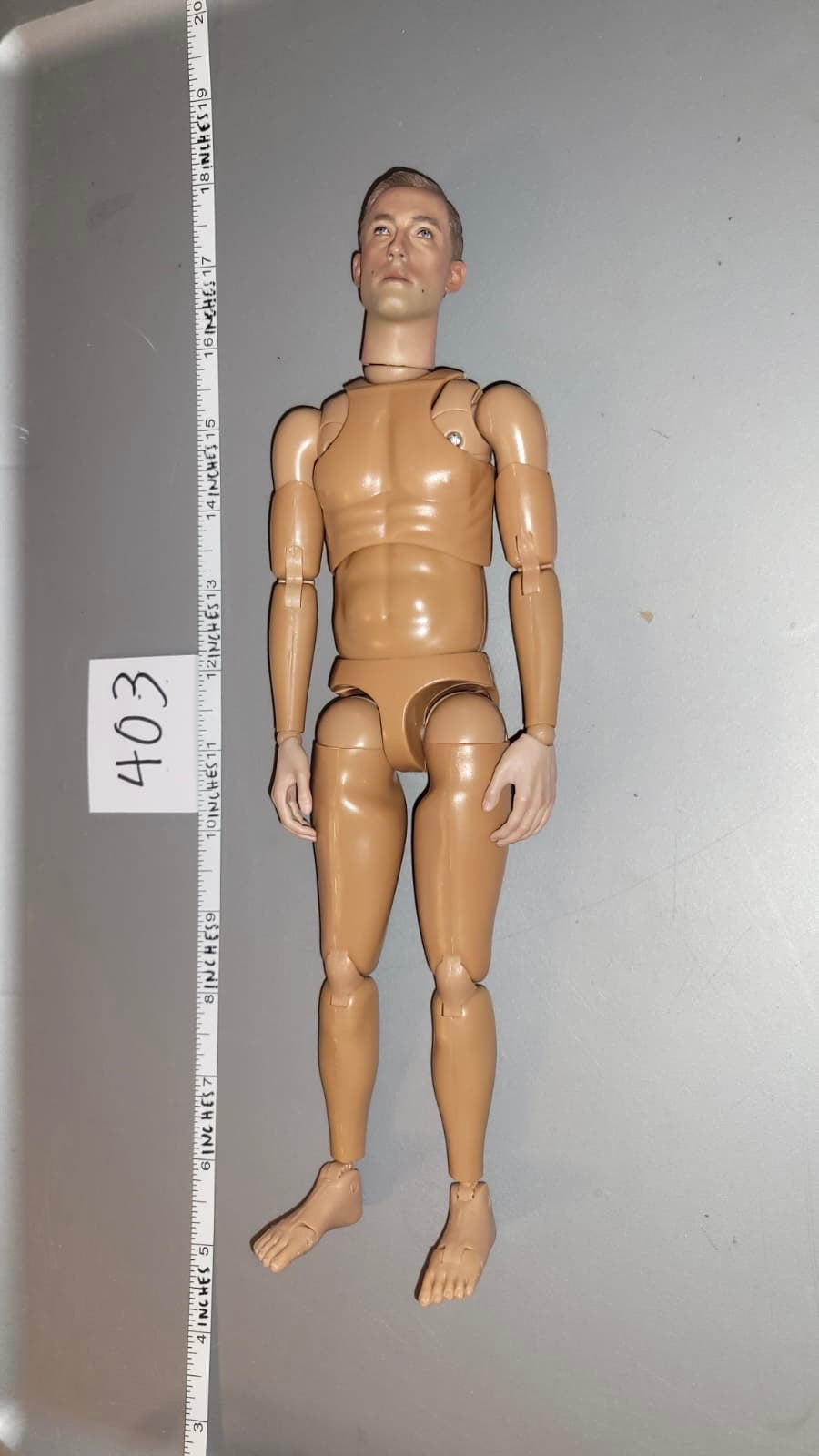 1/6 Scale Nude Basic Figure - DID WWII German