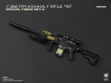 1/6 Scale Modern Era ASSAULT RIFLE 417 Weapons Set - NIB Easy and Simple Set D - OKWVIII