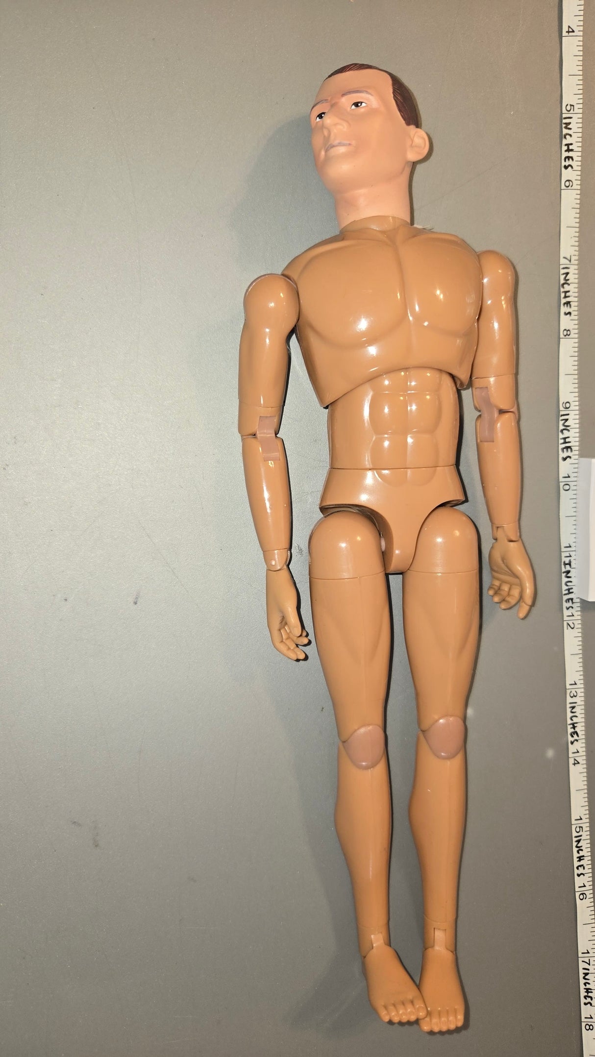 1/6 Scale Nude Dragon Figure