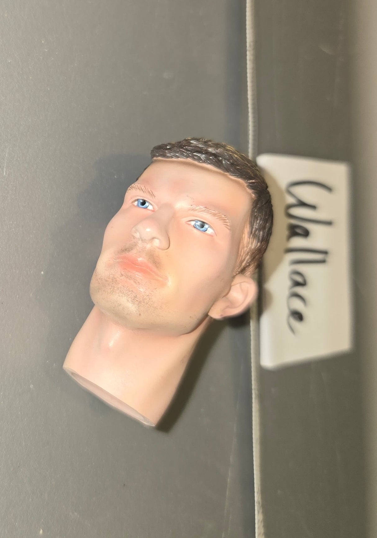 1/6 Scale Head Sculpt