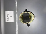 1/6 Scale WWII  US ETO duck Hunter Helmet Cover