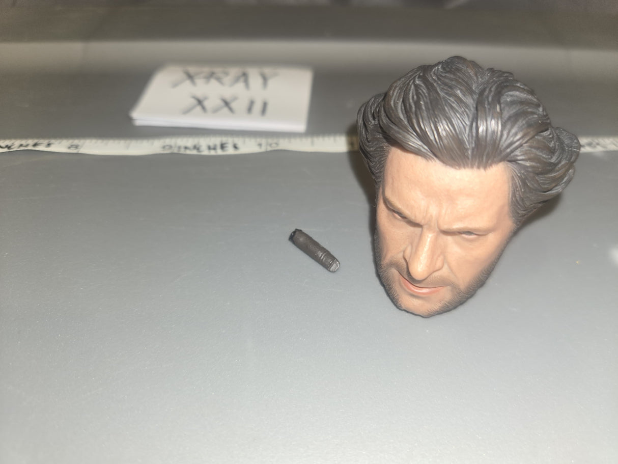 1/6 Scale Wolverine Head Sculpt - Comic Book - Civilian Science Fiction - X-Men Marvel