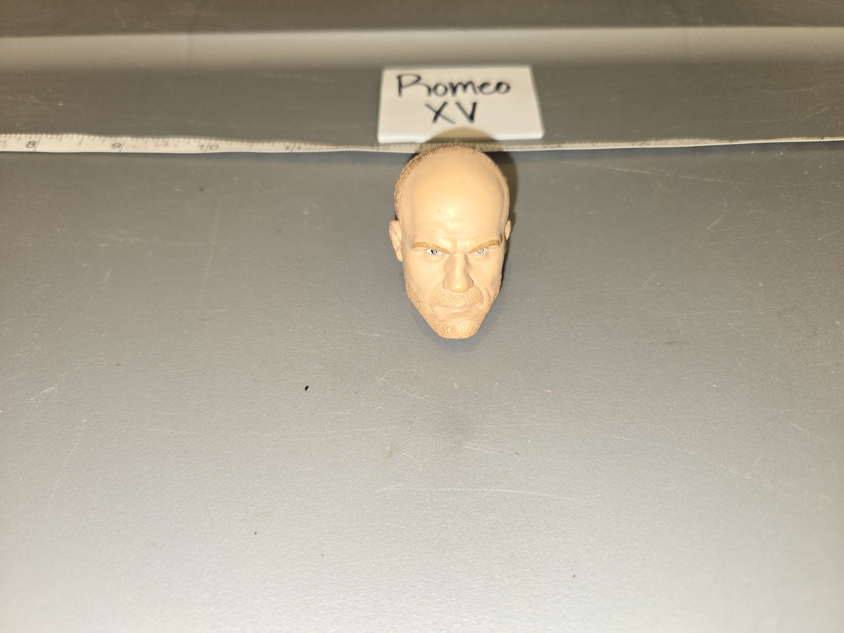 1/6 Scale Unpainted Head Sculpt