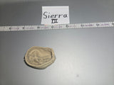 1:6 Scale WWII Russian Field Cap
