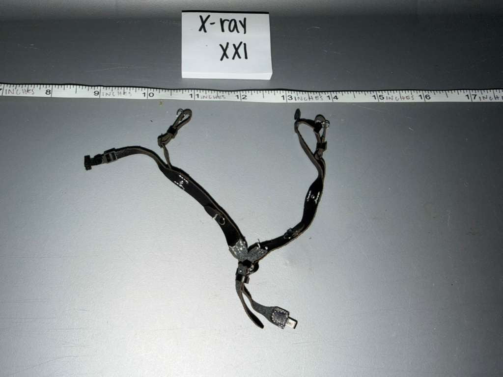 1/6 Scale WWII German Y Harness- DID