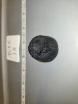 1/6 Scale Modern Beanie