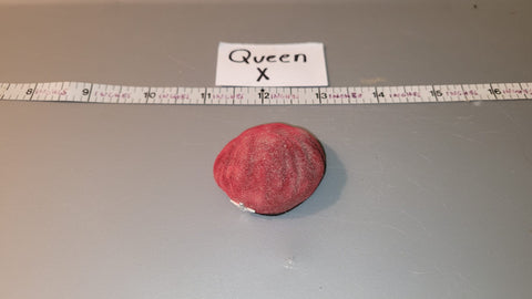 1:6 Scale WWII British Beret
