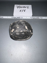 1/6 Scale Modern Era Urban Helmet and Cover