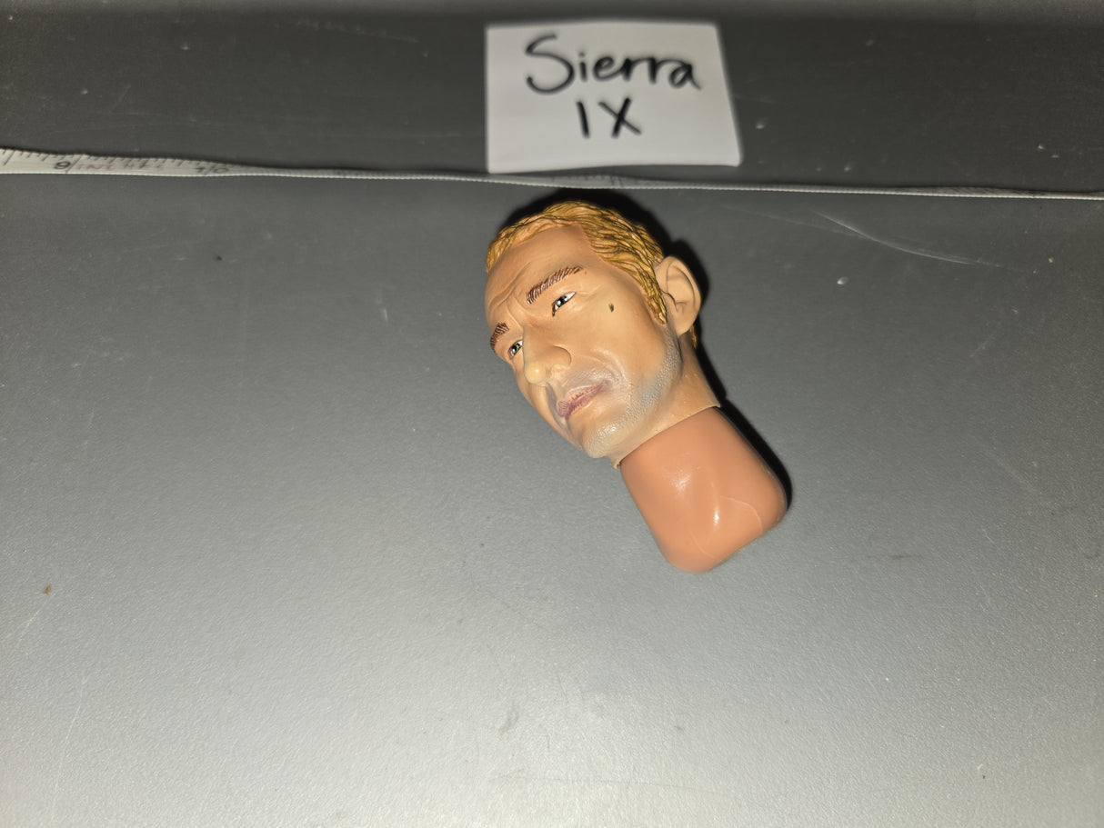 1/6 Scale BBi Head Sculpt
