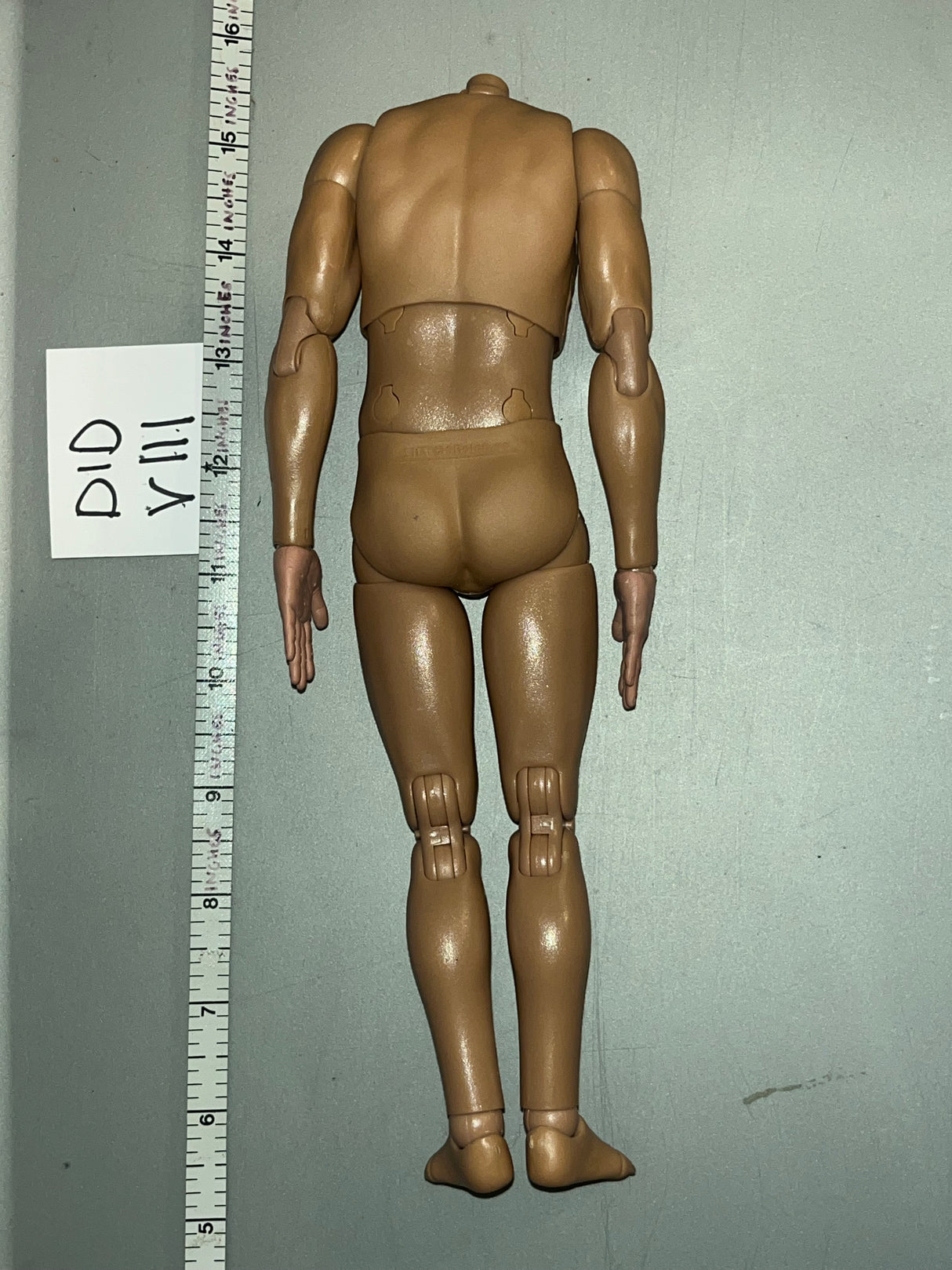 1/6 Scale DID Short Nude Basic Figure