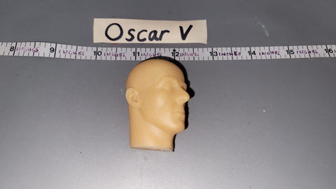 1/6 Scale Unpainted Head Sculpt