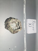 1:6 WWII German Splinter Camouflage helmet cover