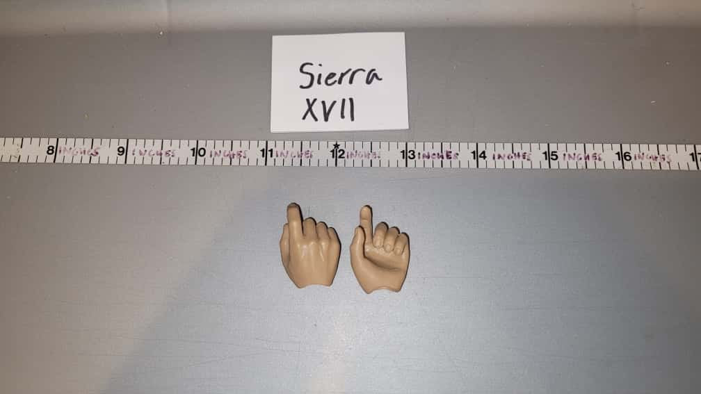1/6 Scale Hand Set