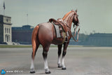 1/6 Scale WWII German Brown War Horse - NIB DID E60084