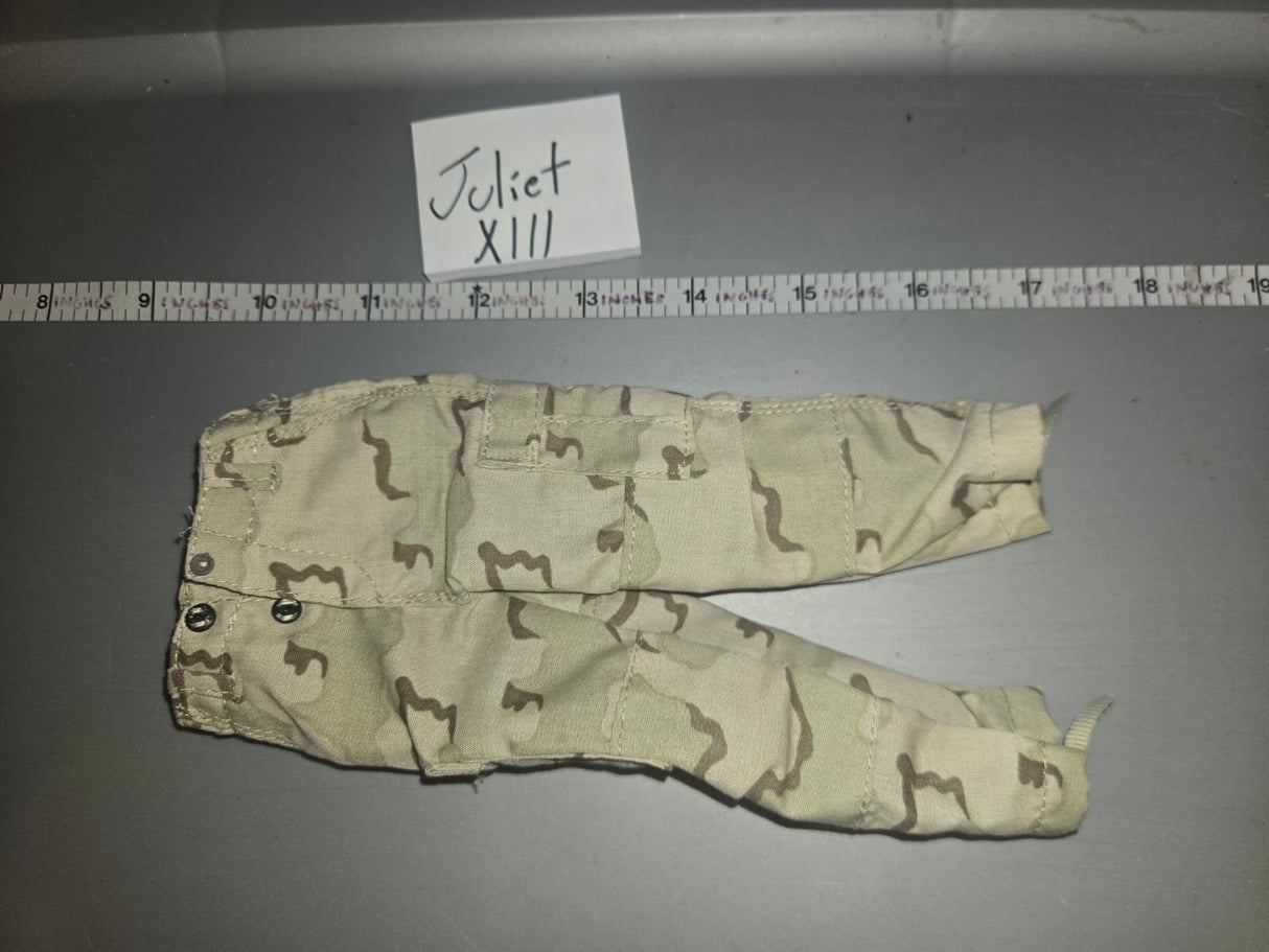 1:6 Modern Desert Camouflage Pants