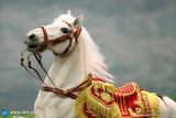 1/6 Scale Napoleon White War Horse (Prancing) - NIB DID E60078