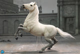 1/6 Scale Napoleon White War Horse (Prancing) - NIB DID E60078