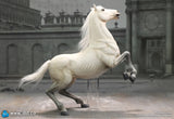1/6 Scale Napoleon White War Horse (Prancing) - NIB DID E60078