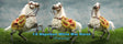 1/6 Scale Napoleon White War Horse (Prancing) - NIB DID E60078