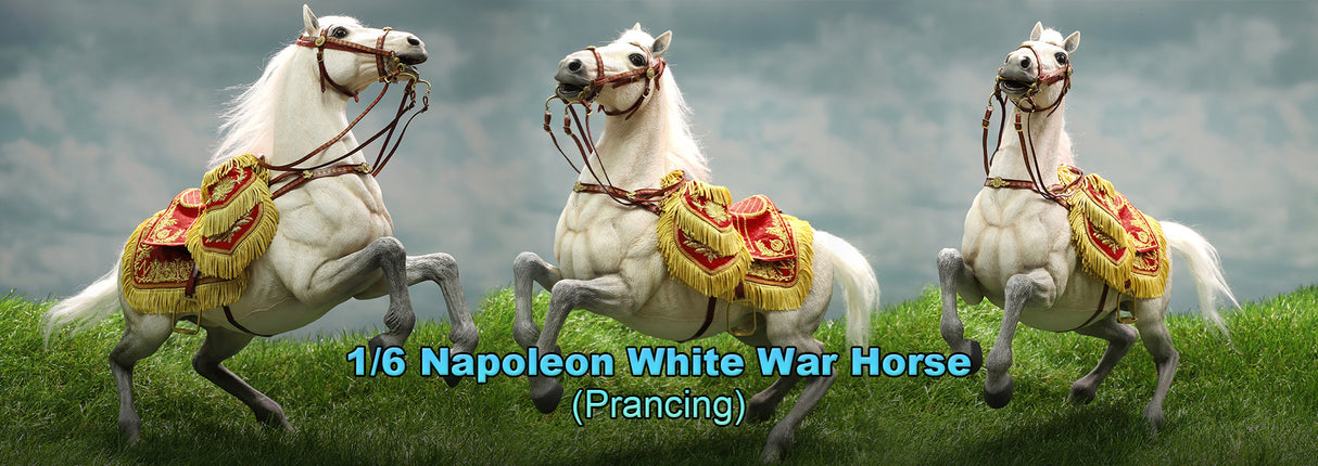 1/6 Scale Napoleon White War Horse (Prancing) - NIB DID E60078