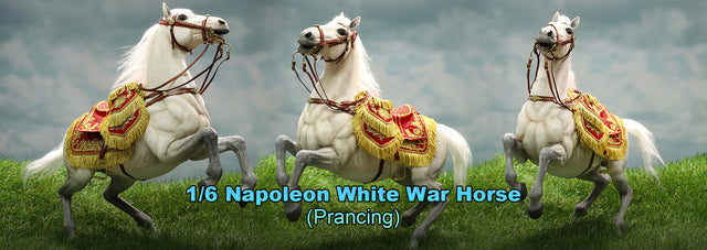 1/6 Scale Napoleon White War Horse (Prancing) - NIB DID E60078